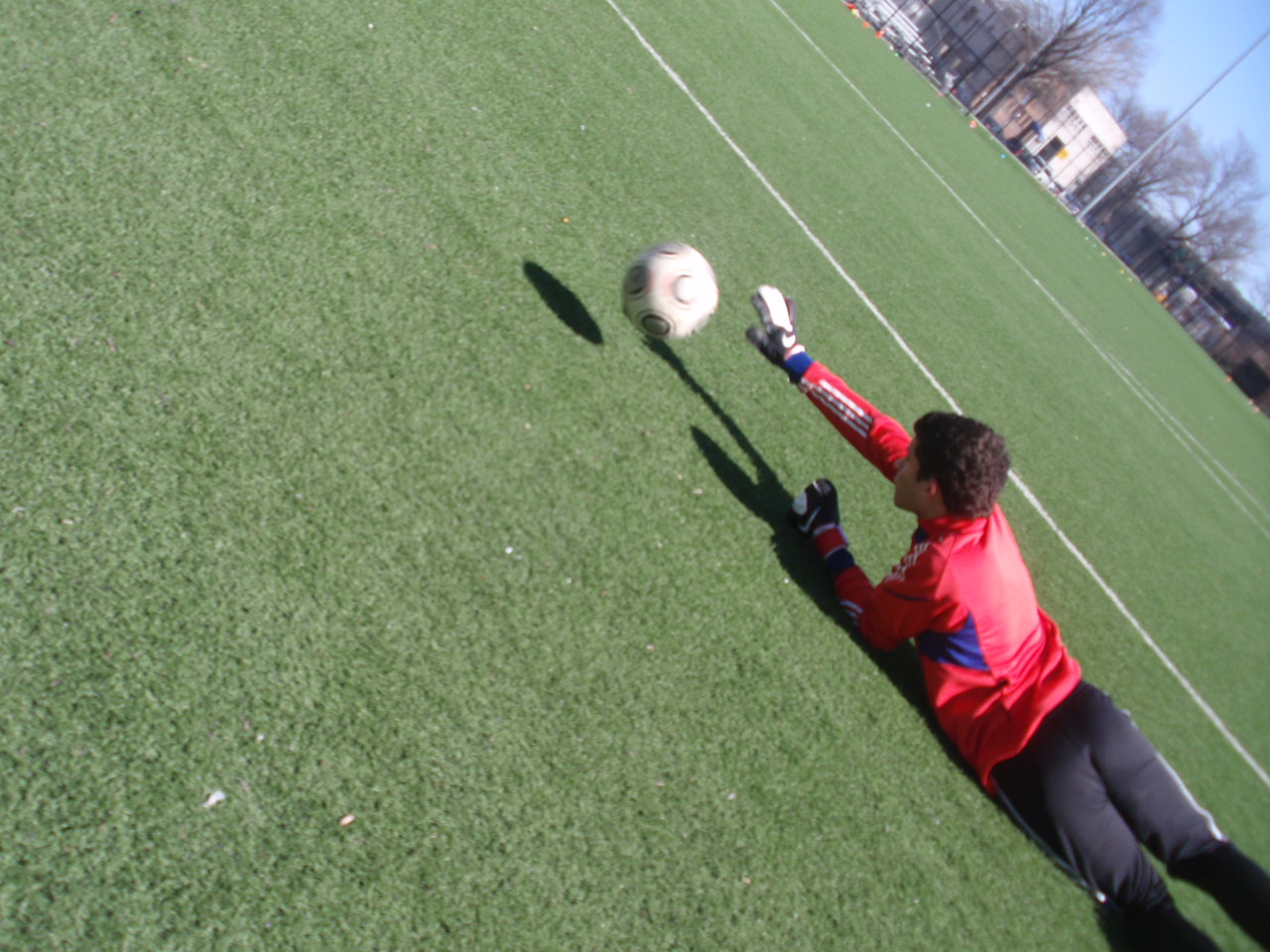 P1010200.JPG